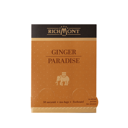 Herbata ziołowa RICHMONT Ginger Paradise 50 saszetek